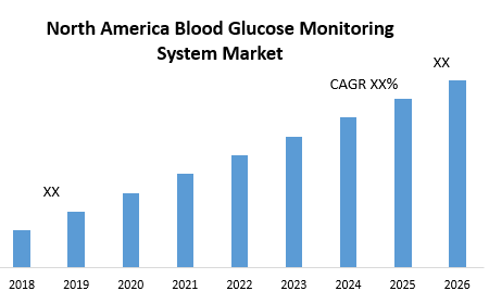 North America Blood Glucose Monitoring System Market