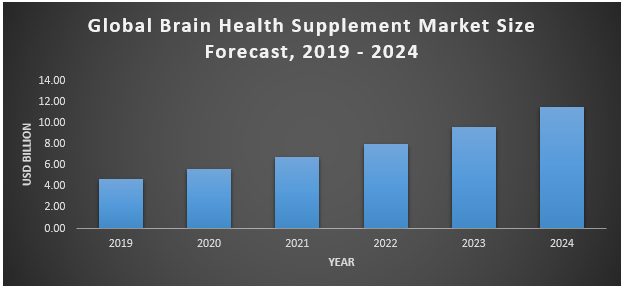 Global Brain Health Supplement Market1