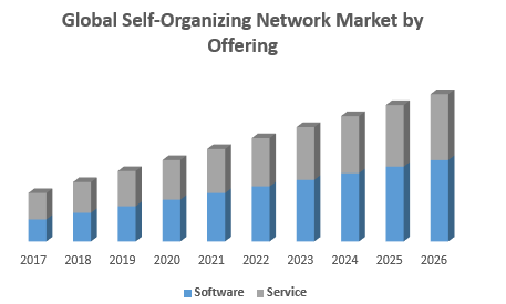 Global Self-Organizing Network Market by Offering