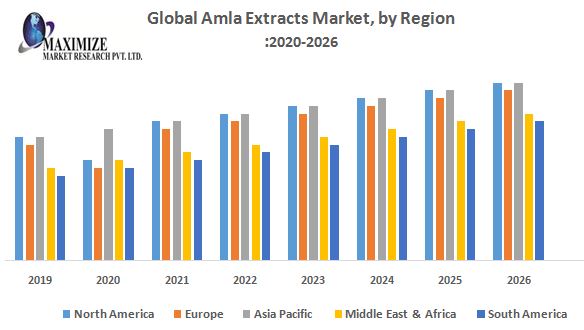 Global Amla Extracts Market - Industry Analysis and Forecast (2019-2026)