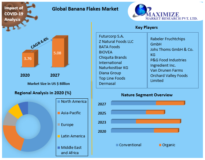 Banana Flakes Market - Global Industry Analysis and Forecast (2021-2027)