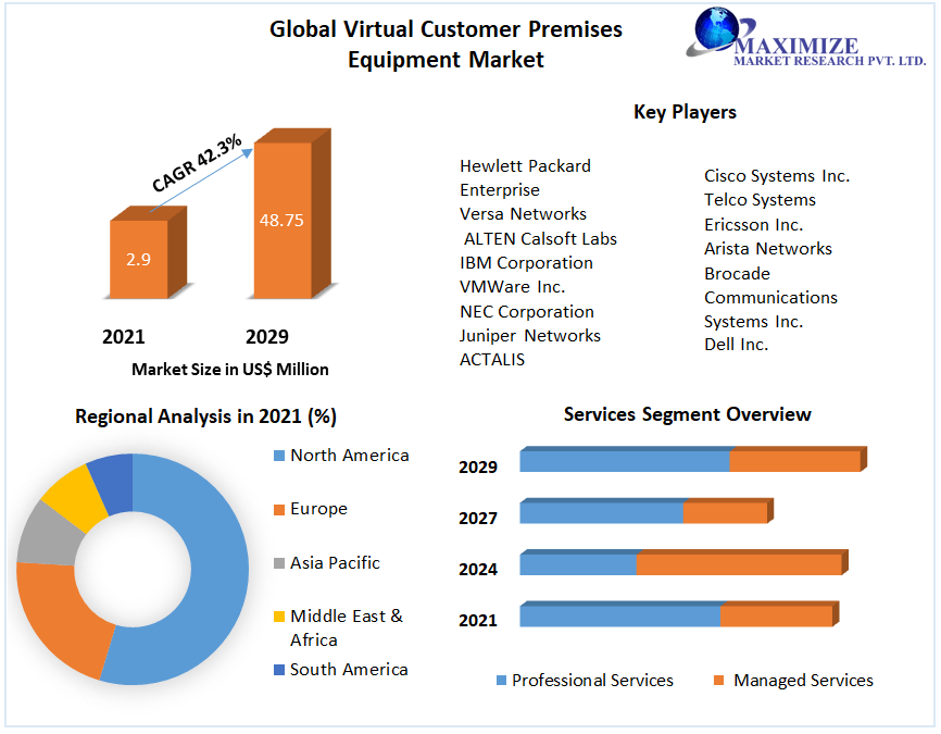 Virtual Customer Premises Equipment Market - Global Industry Analysis