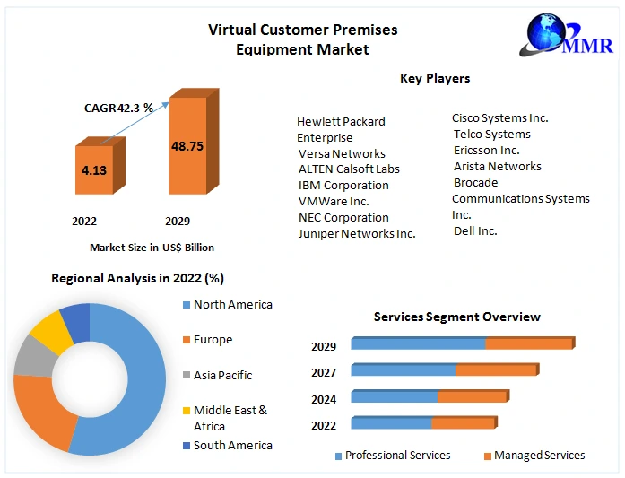 Virtual Customer Premises Equipment Market