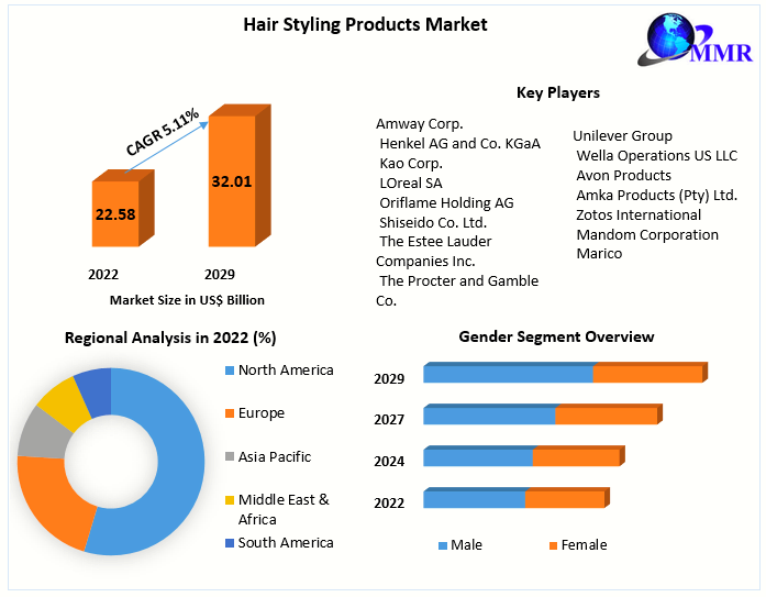 Hair Styling Products Market: Global Industry Analysis and Forecast