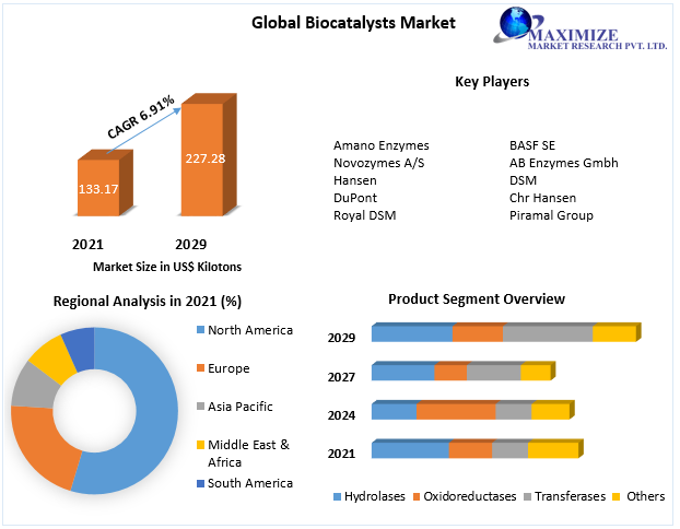Biocatalysts Market