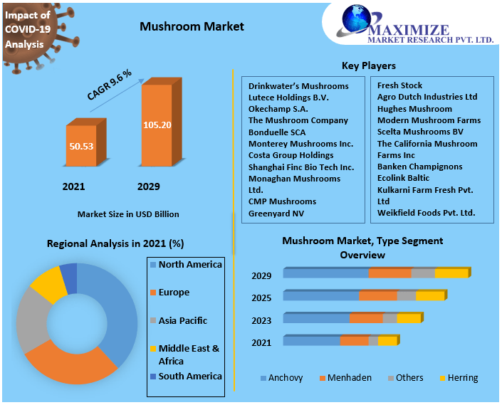 Mushroom Market: Global Industry Analysis and Forecast (2022-2029)