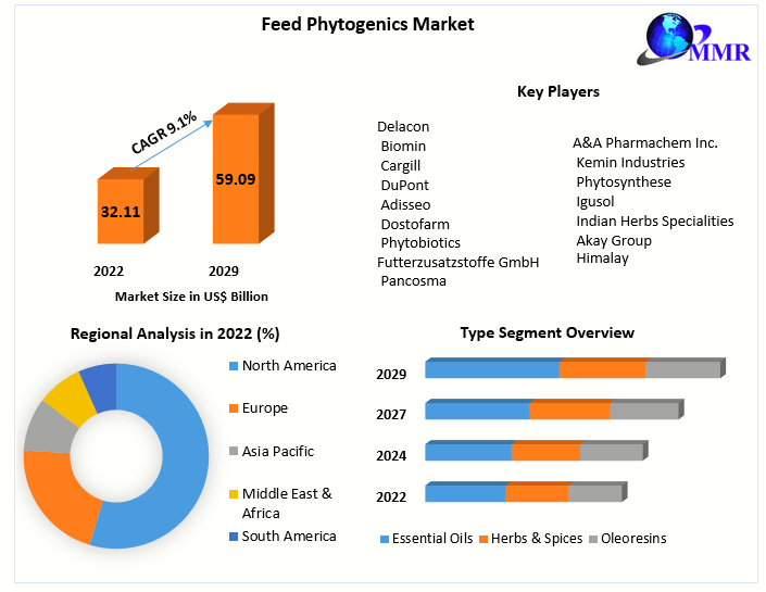 Feed Phytogenics Market - Global Industry Analysis and Forecast | 2029