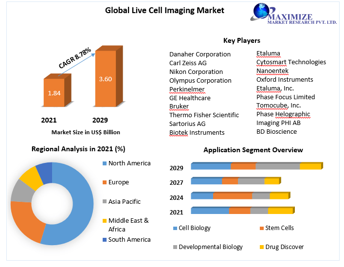 Live Cell Imaging Market: Global Industry Analysis and Forecast | 2029