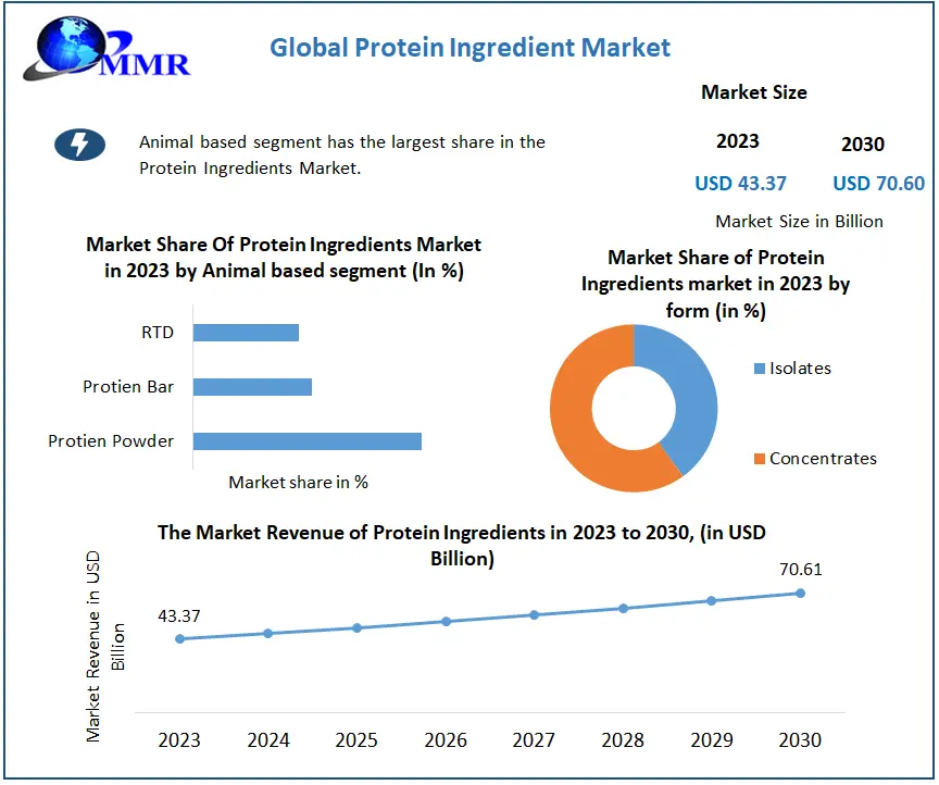 Protein Ingredients Market: Global Industry Analysis
