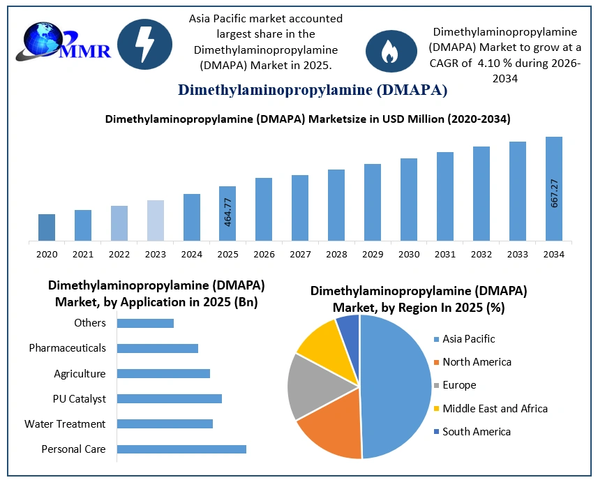 Dimethylaminopropylamine (DMAPA) Market Growth (1)