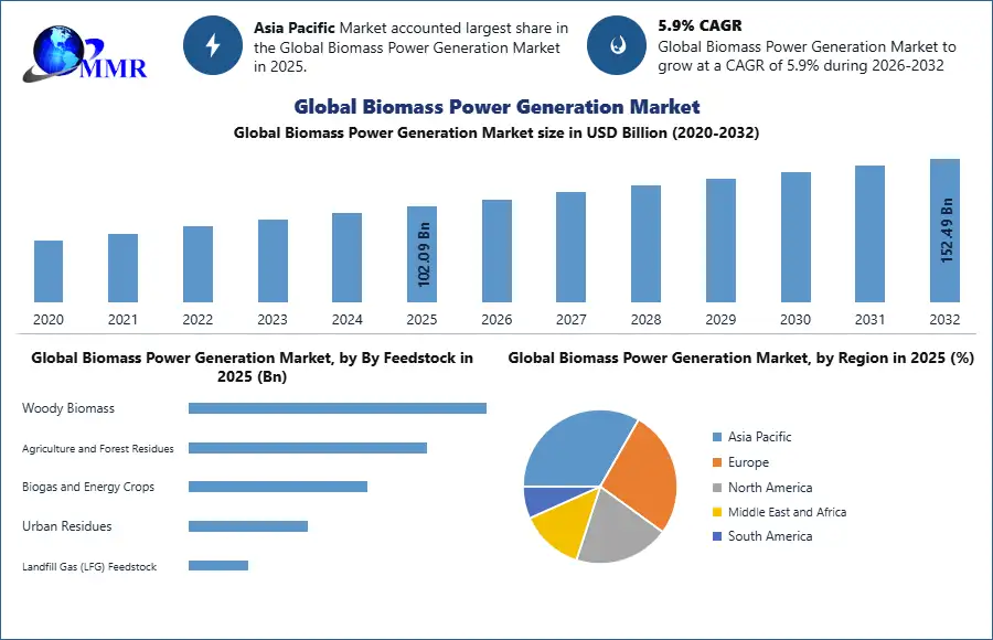 Global Biomass Power Generation Market