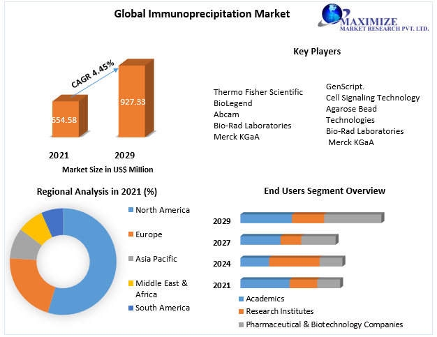 Immunoprecipitation Market - Industry Analysis and Forecast (2022-2029)