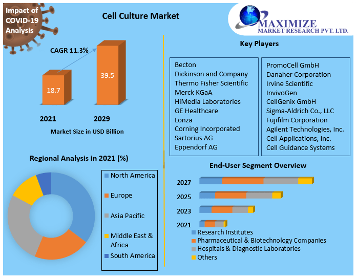 Cell Culture Market - Growth, Segmentation, and Forecasts (2022 to 2029)