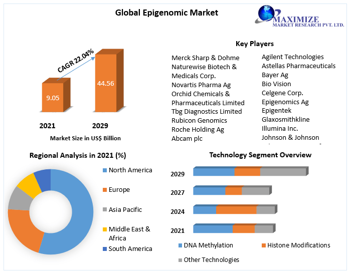 Global Epigenomic Market