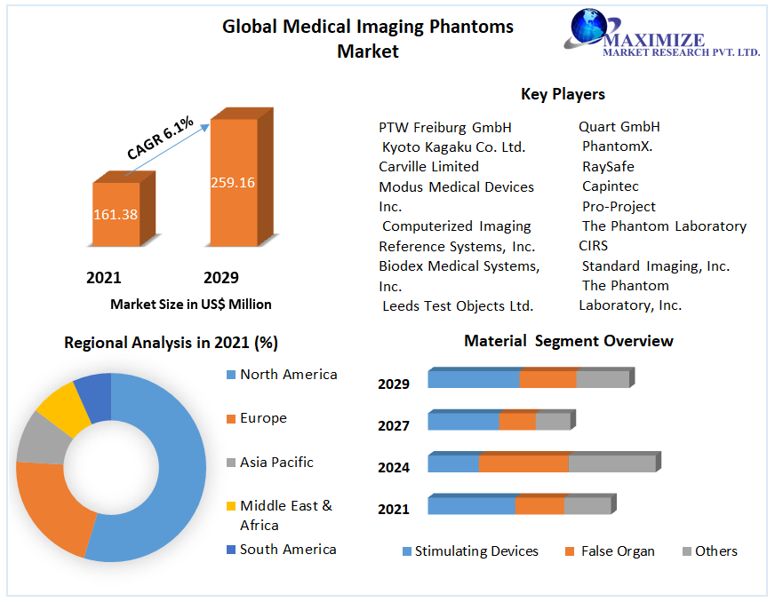 Medical Imaging Phantoms Market Global Industry Analysis 2029