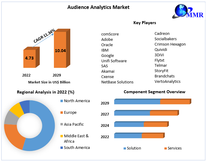 Audience Analytics Market: Global Industry Analysis and Forecast -2029
