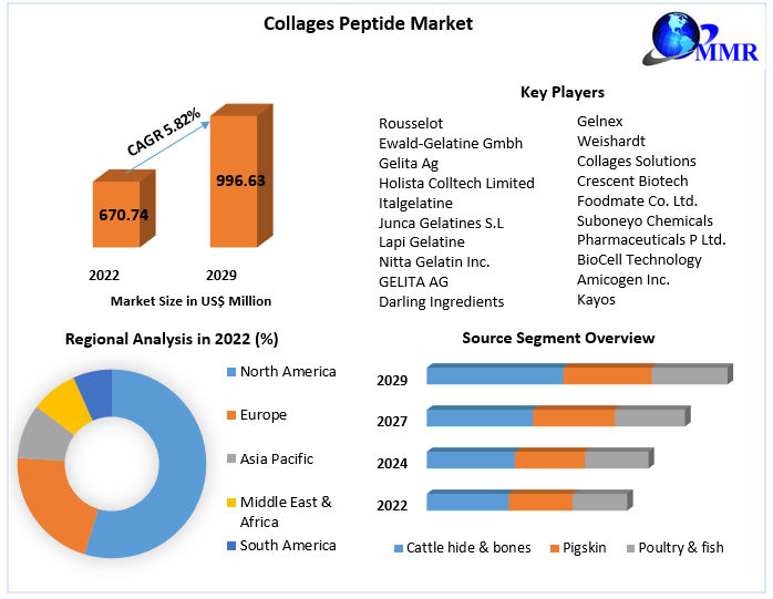Collages Peptide Market: Global Industry Analysis and Forecast -2029