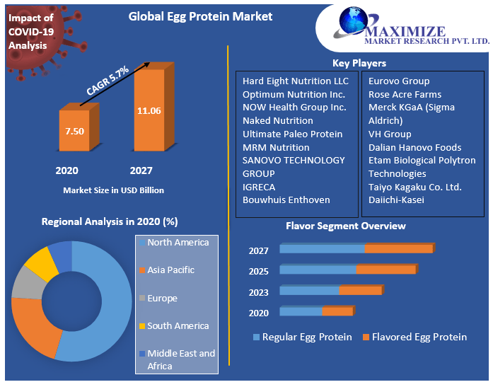 Global Egg Protein Market: Industry Analysis and Forecast (2021-2027) by Flavor, End-User, Function, and Region