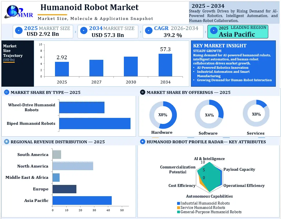 Global Humanoid Robot Market Growth