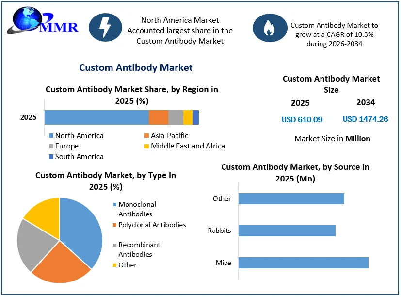 Custom Antibody Market Size