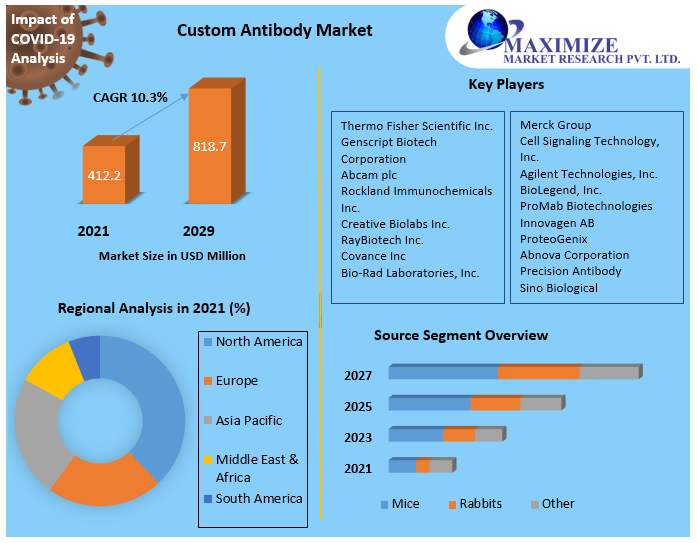 Custom Antibody Market - Growth, Trends, Segmentation, and Forecasts
