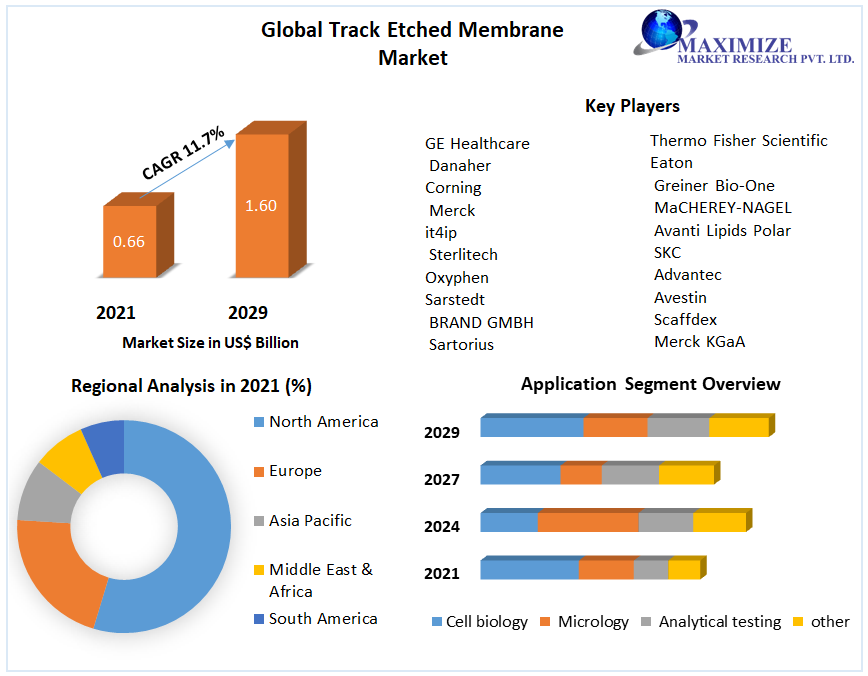 Global Track Etched Membrane Market