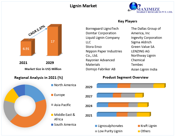 Lignin Market - Global Industry Analysis and Forecast (2022-2029)