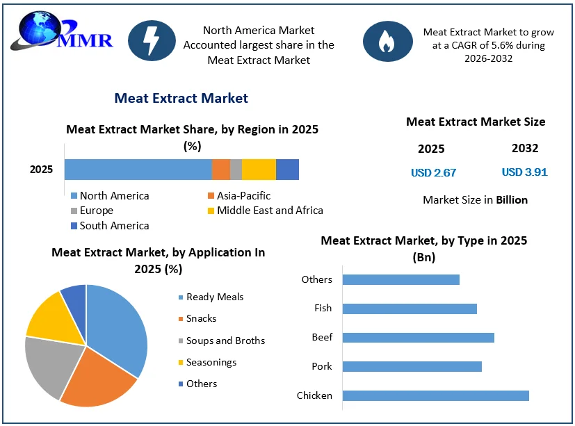 Meat Extract Market size