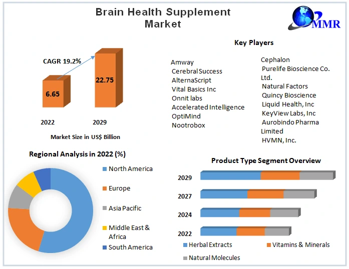 Brain Health Supplement Market
