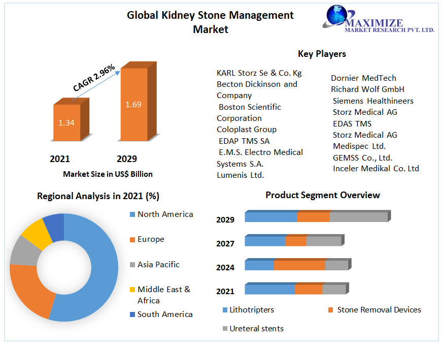Kidney Stone Management Devices Market: Industry Analysis 2029