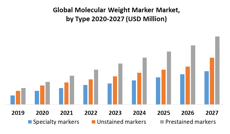 Global Molecular Weight Marker Market