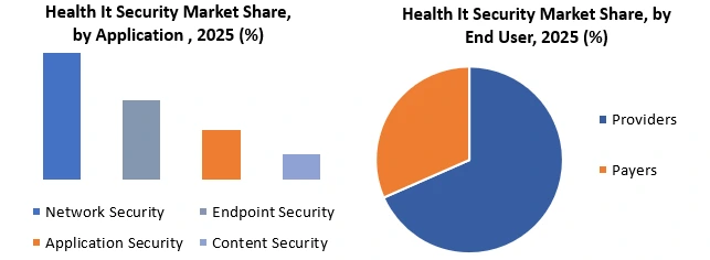Health It Security Market Segment Analysis