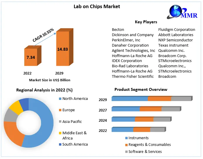Lab on Chips Market