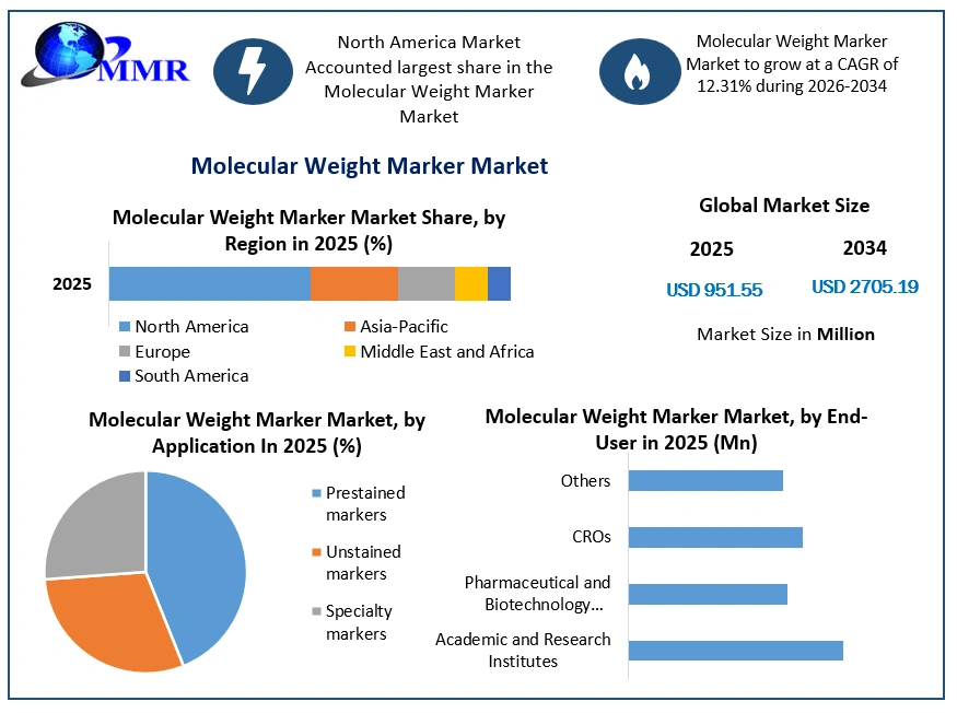 Molecular Weight Marker Market Growth