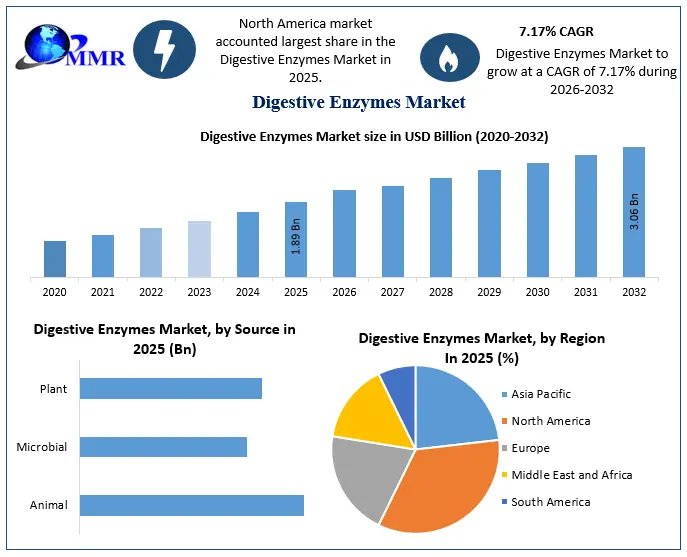 Digestive Enzymes Market Growth