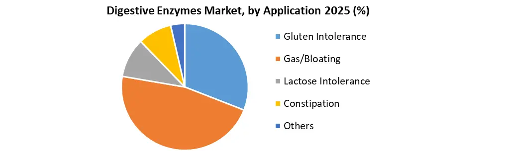Digestive Enzymes Market by Application
