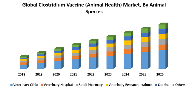 Global Clostridium Vaccine (Animal Health) Market