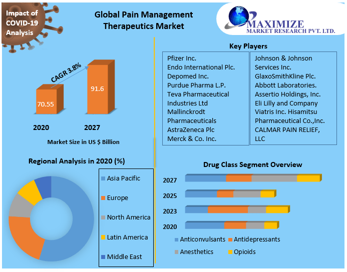 Pain Management Therapeutics Market Global Industry Analysis