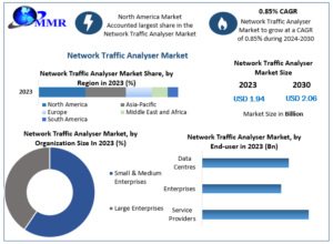 Network Traffic Analyzer Market : Global Industry Analysis 2030