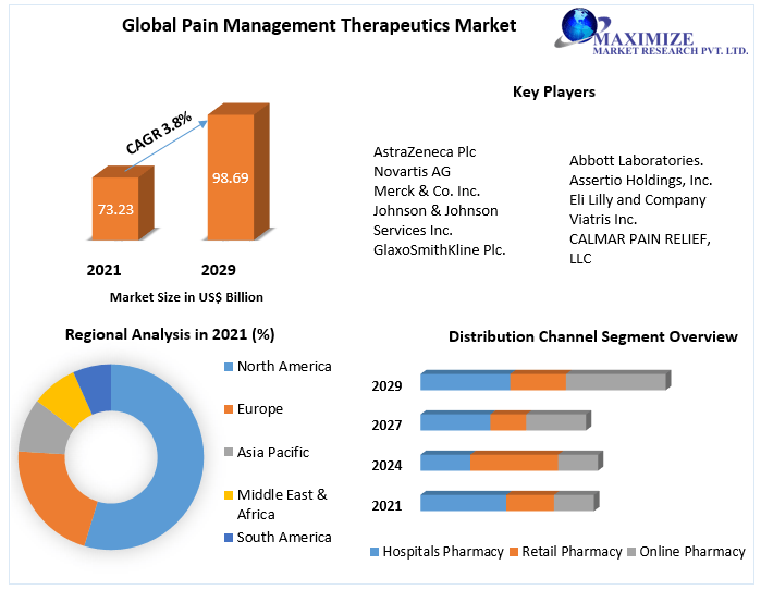 Pain Management Therapeutics Market