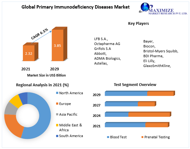 Primary Immunodeficiency Diseases Market - forecast (2022 to 2029)