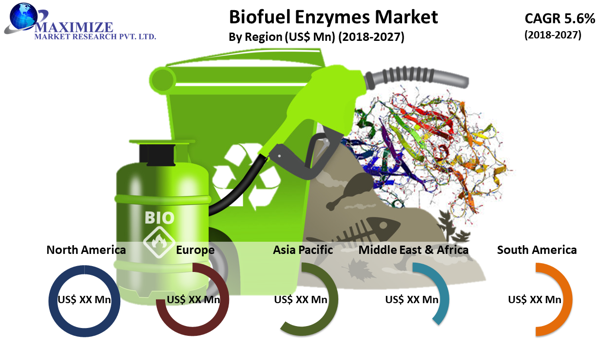 Biofuel Enzymes Market: Global Industry Analysis and Forecast 2027