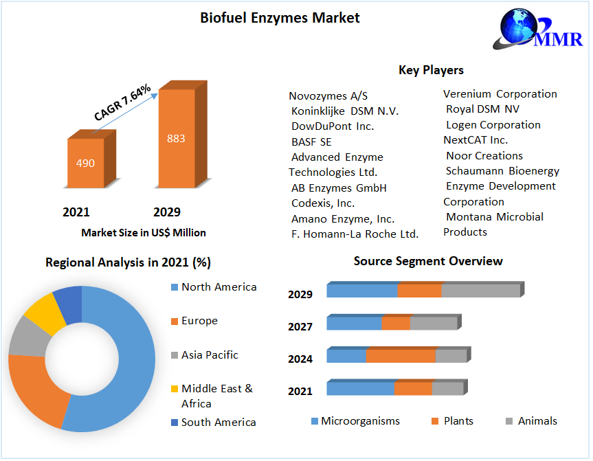 Biofuel Enzymes Market: Global Industry Analysis and Forecast 2029