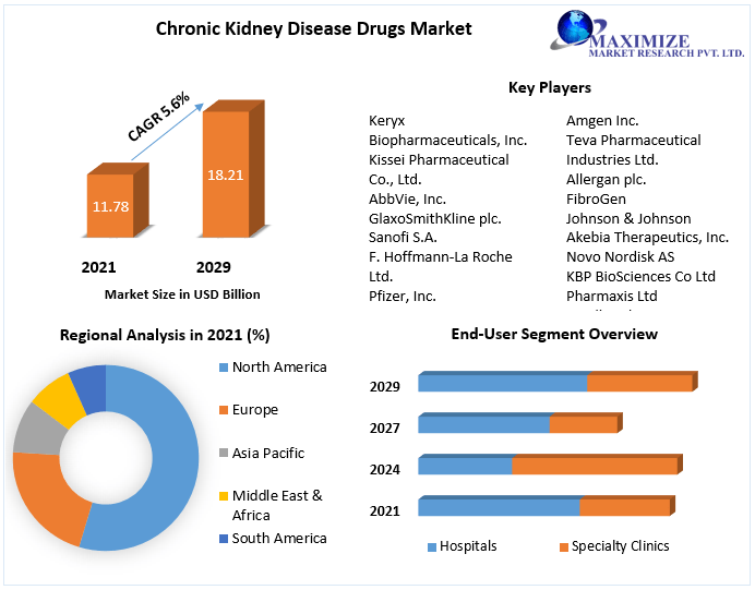 Chronic Kidney Disease Drugs Market: Industry Analysis & Forecast - 2029