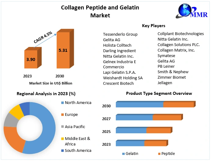 Collagen Peptide and Gelatin Market