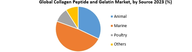 Collagen Peptide and Gelatin Market2