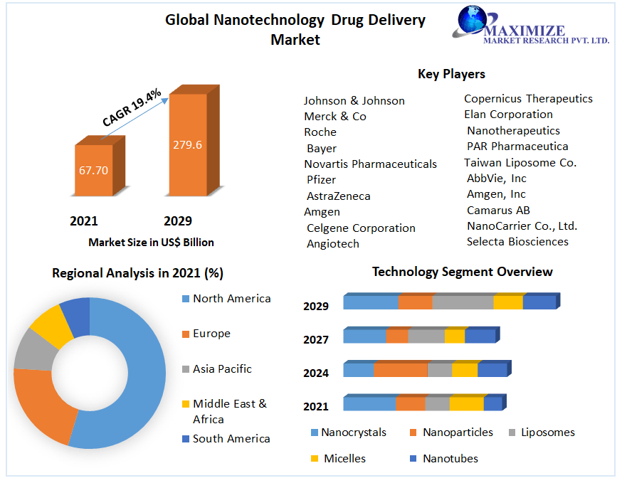 Global Nanotechnology Drug Delivery Market