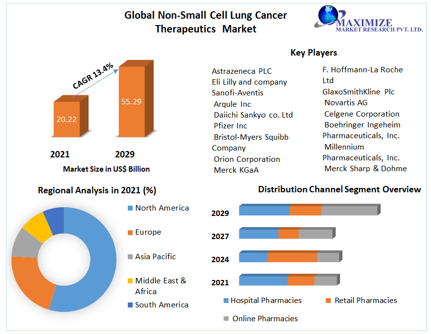 Global Non-Cell Lung Cancer Therapeutics Market
