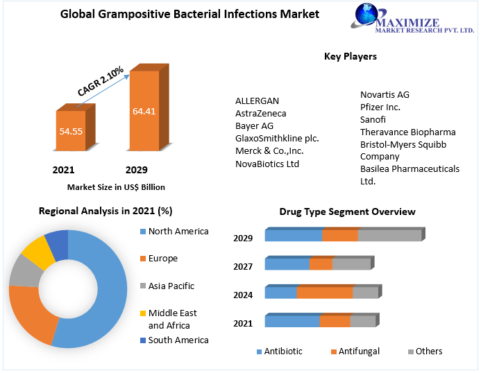 Gram-positive Bacterial Infections Market - Industry Forecast (2022-2029)