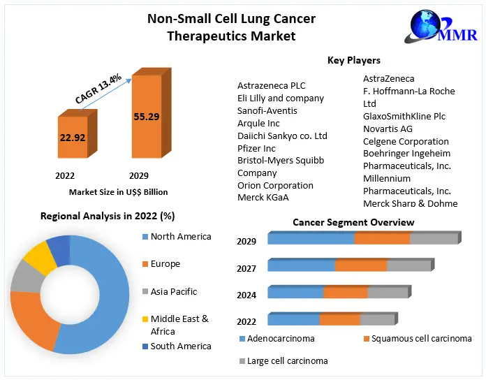 Non-Small Cell Lung Cancer Therapeutics Market